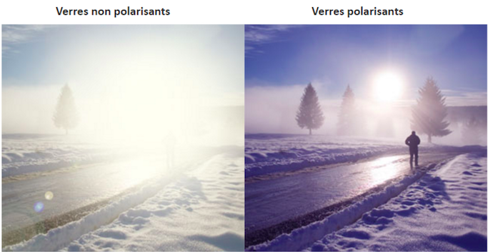 Pourquoi choisir un verre polarisé versus, BLOGUE