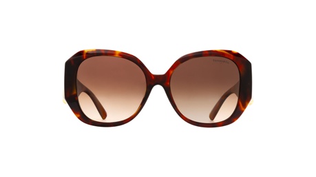 Paire de lunettes de soleil Tiffany-co Tf4207b /s couleur brun - Doyle