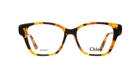 Paire de lunettes de vue Chloe Ch0200o couleur brun - Doyle