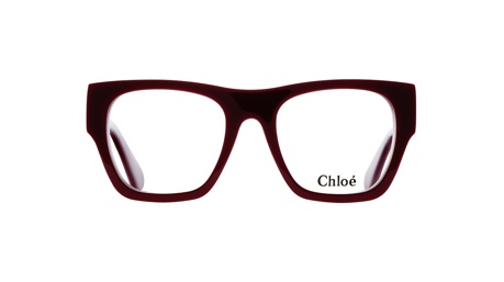 Paire de lunettes de vue Chloe Ch0250o couleur gris - Doyle