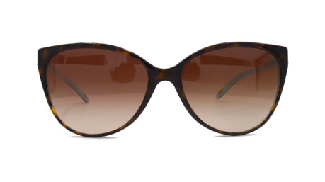 Sunglasses Tiffany Tf4089b /s, brown colour - Doyle