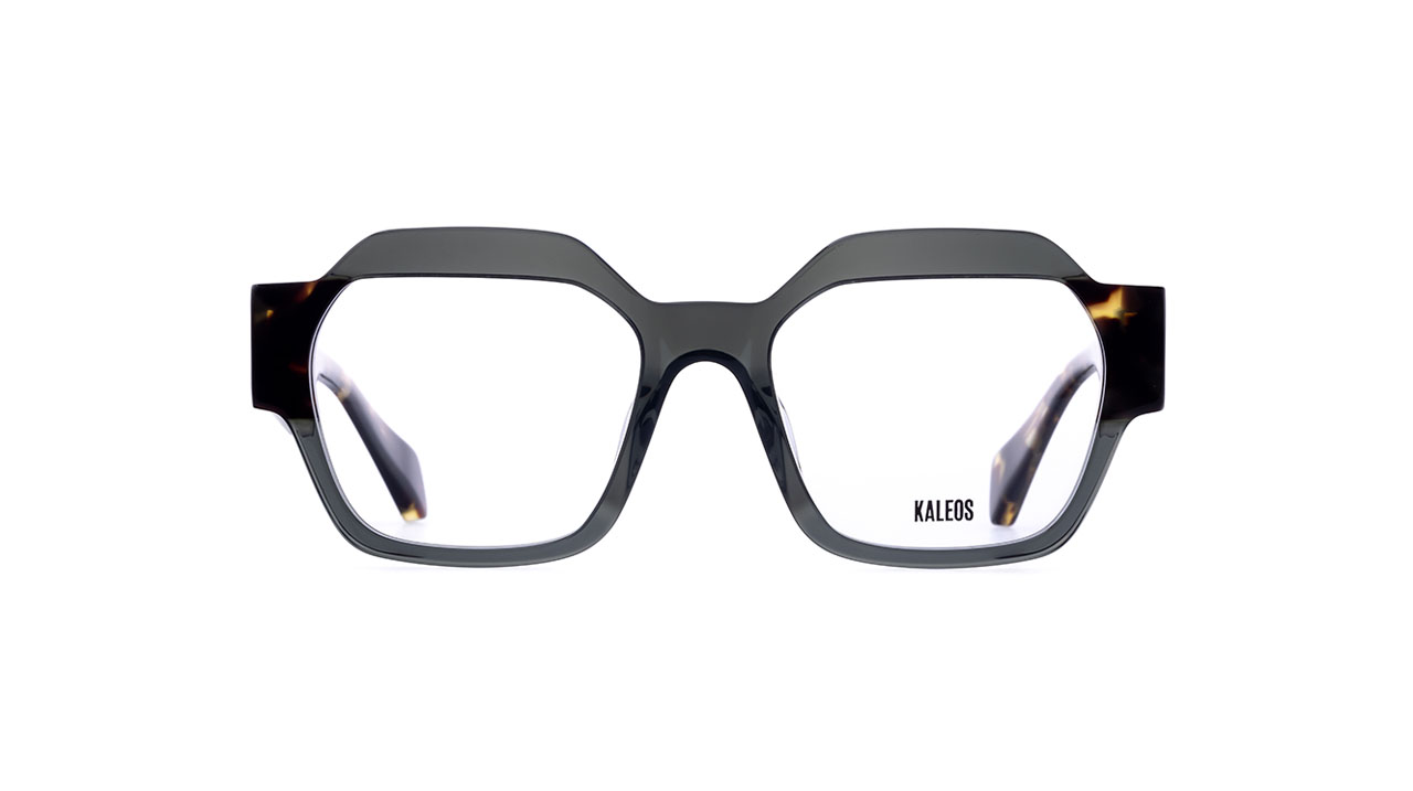 Paire de lunettes de vue Kaleos Reggiani couleur cristal - Doyle
