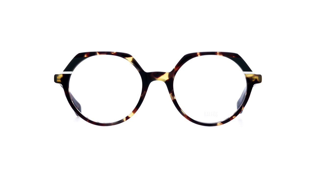 Paire de lunettes de vue Kaleos Hanson couleur brun - Doyle