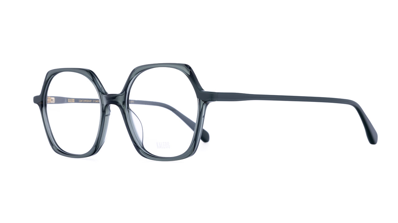 Paire de lunettes de vue Kaleos Perry couleur gris - Côté à angle - Doyle