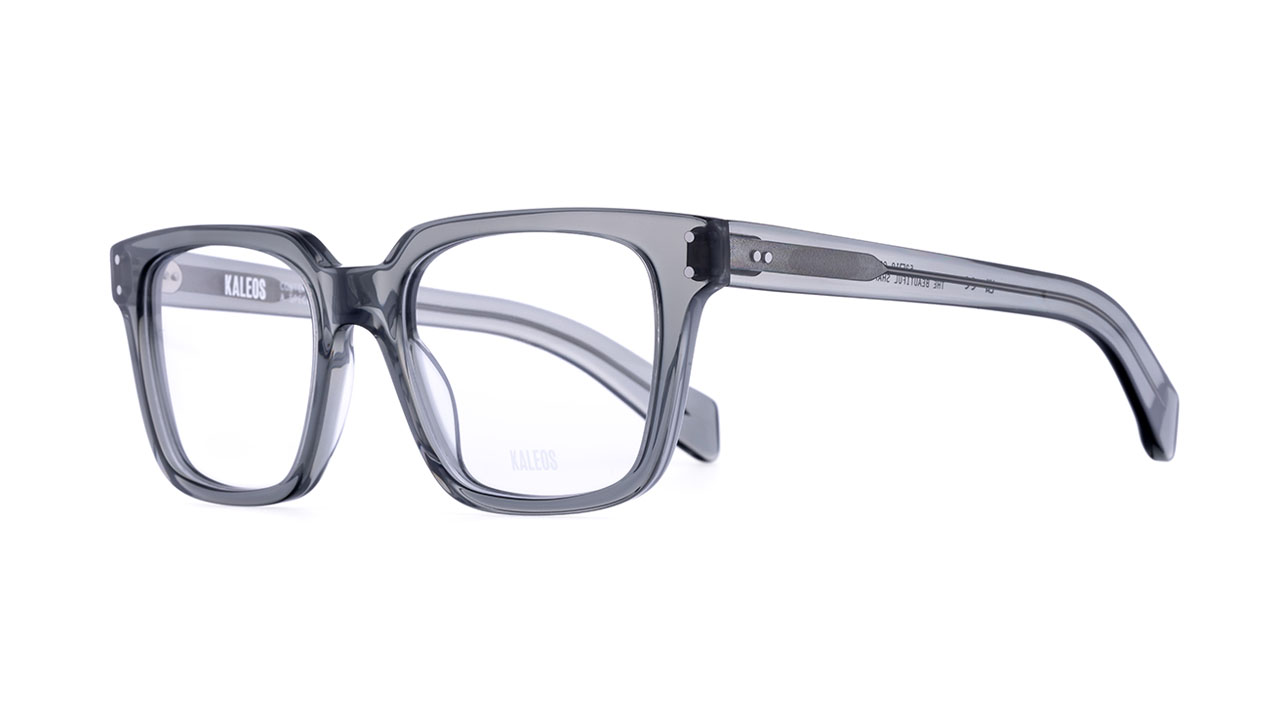 Paire de lunettes de vue Kaleos Schisa couleur gris - Côté à angle - Doyle