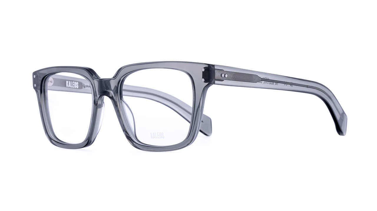 Glasses Kaleos Schisa, gray colour - Doyle