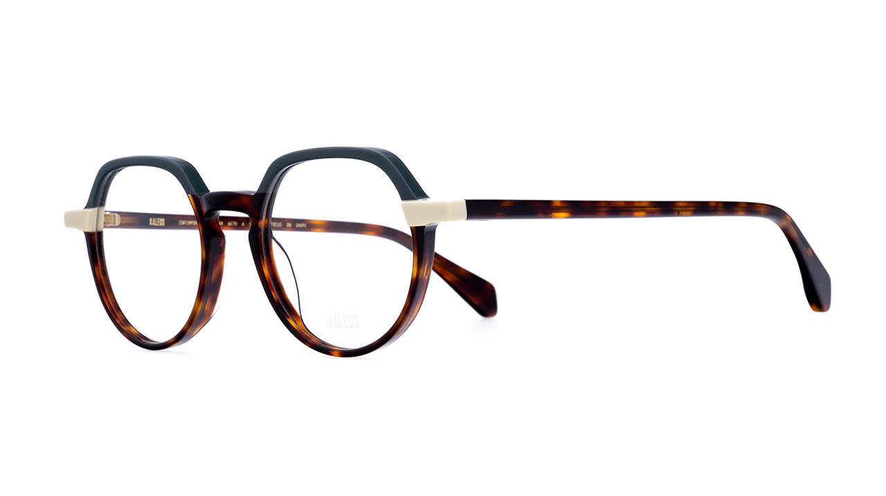 Paire de lunettes de vue Kaleos Gould couleur brun - Côté à angle - Doyle