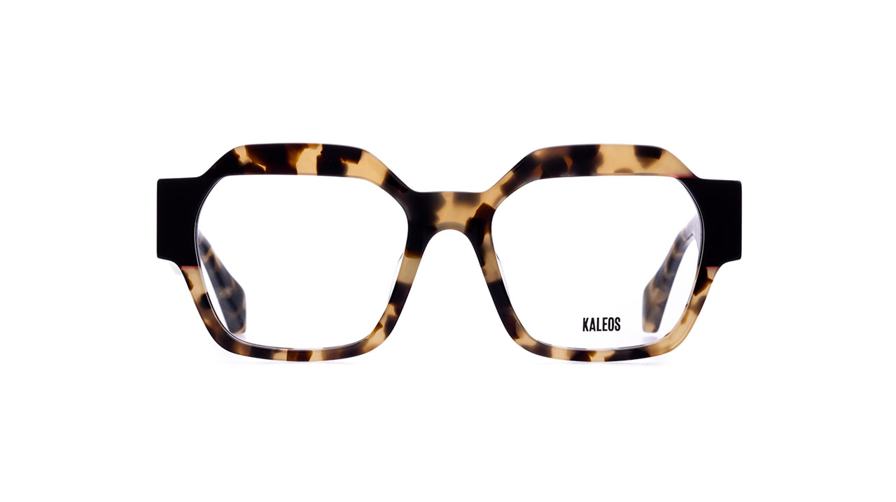Paire de lunettes de vue Kaleos Reggiani couleur brun - Doyle