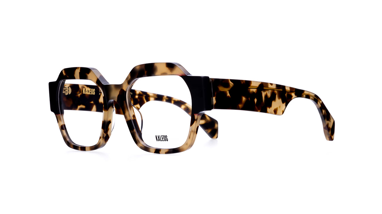 Paire de lunettes de vue Kaleos Reggiani couleur brun - Côté à angle - Doyle