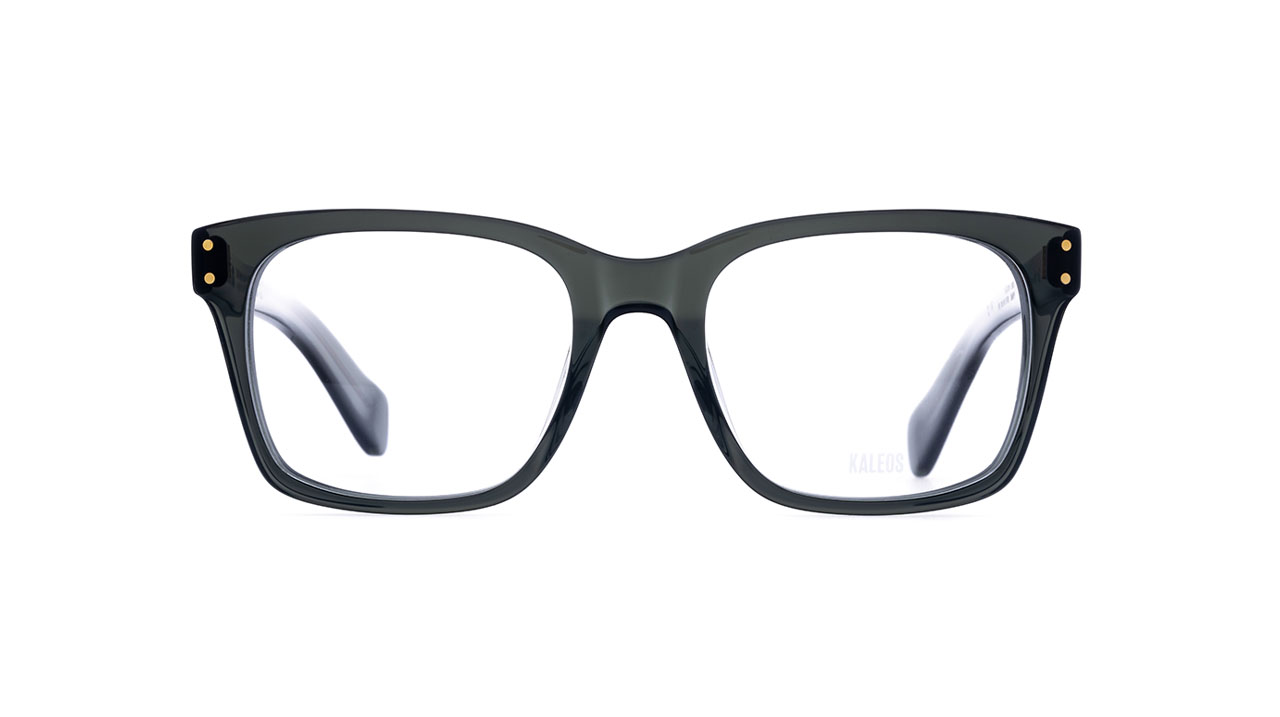 Paire de lunettes de vue Kaleos Cage big couleur gris - Doyle