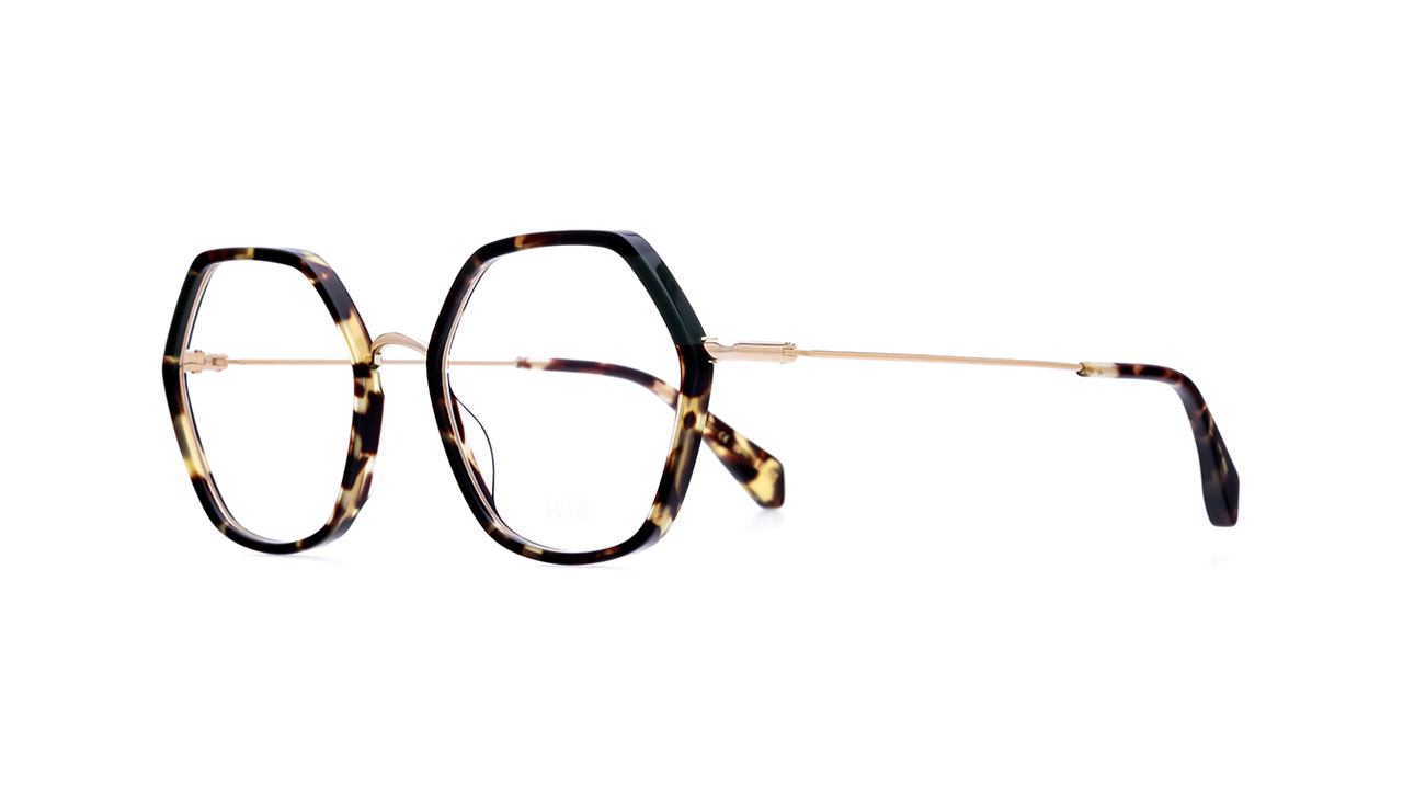 Paire de lunettes de vue Kaleos Rawlings couleur brun - Côté à angle - Doyle