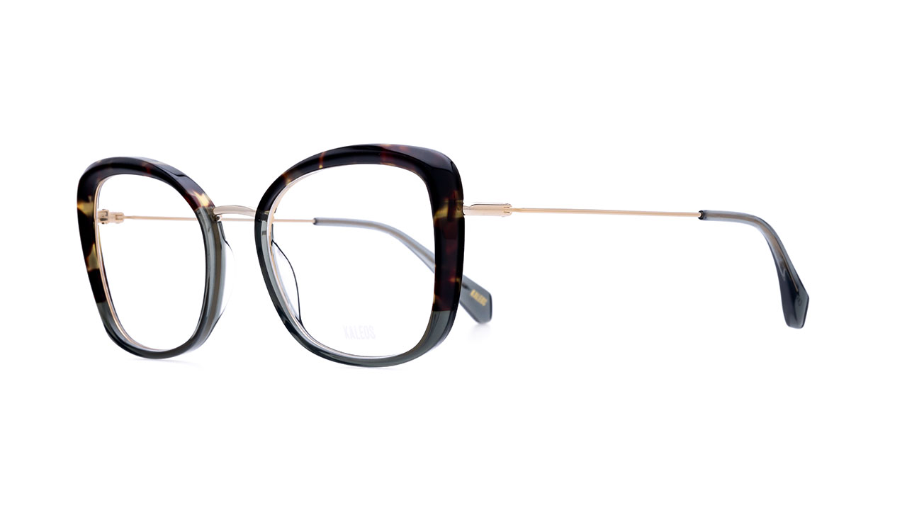 Paire de lunettes de vue Kaleos Carlini couleur brun - Côté à angle - Doyle
