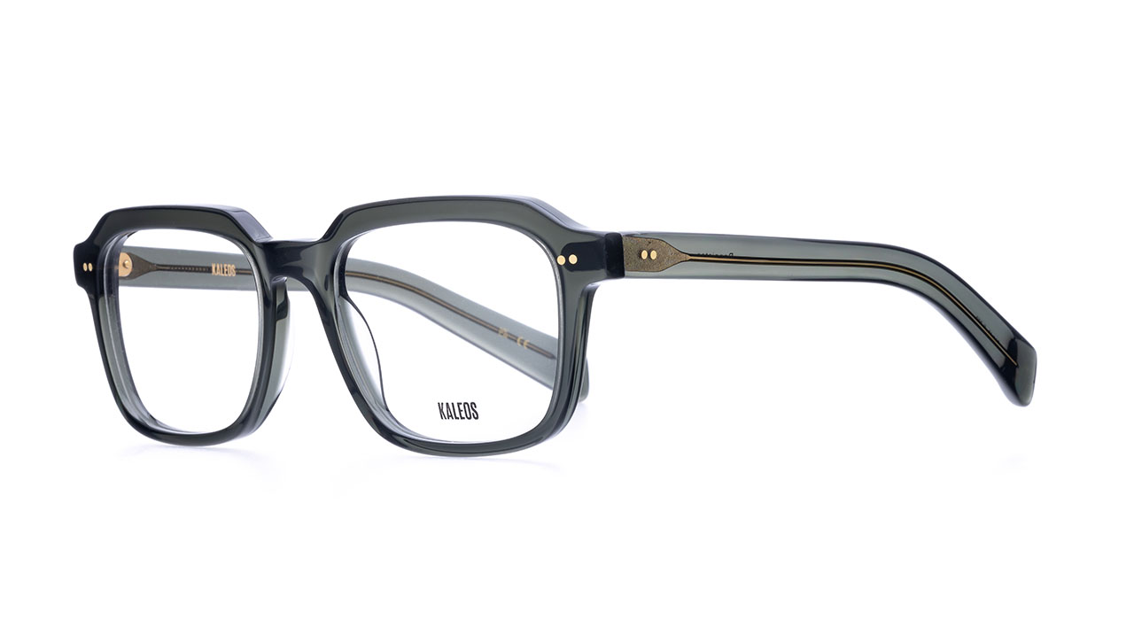 Paire de lunettes de vue Kaleos Bannister couleur gris - Côté à angle - Doyle