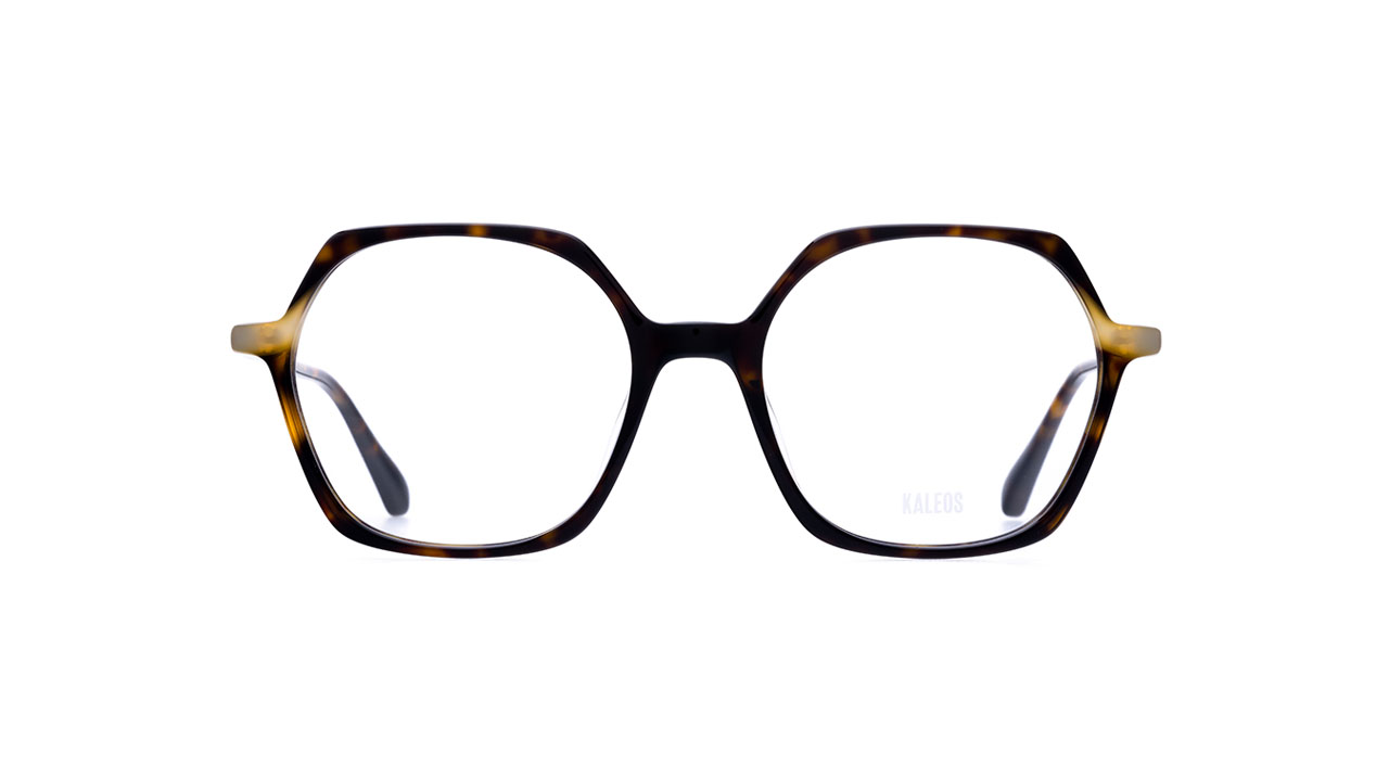 Paire de lunettes de vue Kaleos Perry couleur brun - Doyle