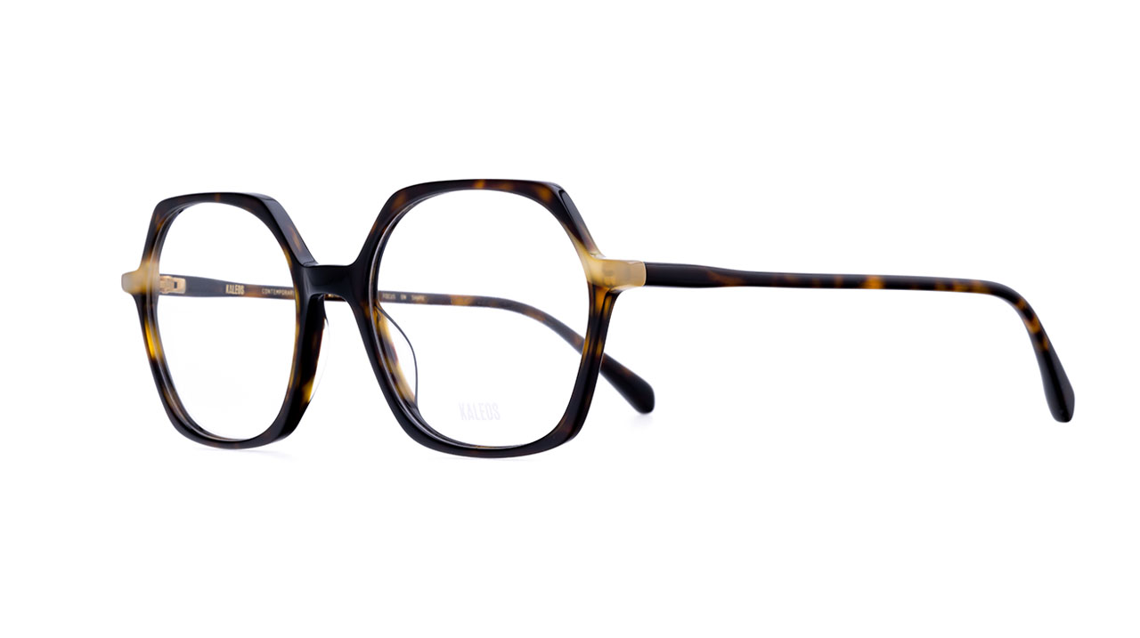 Paire de lunettes de vue Kaleos Perry couleur brun - Côté à angle - Doyle