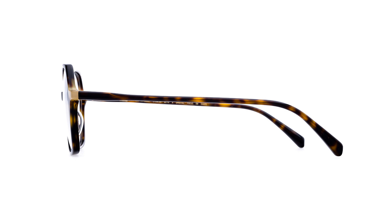 Paire de lunettes de vue Kaleos Perry couleur brun - Côté droit - Doyle