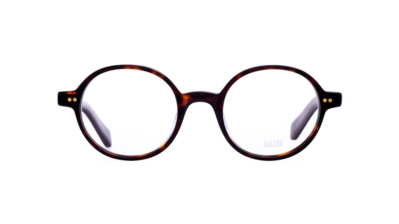 Paire de lunettes de vue Kaleos Legat couleur brun - Doyle