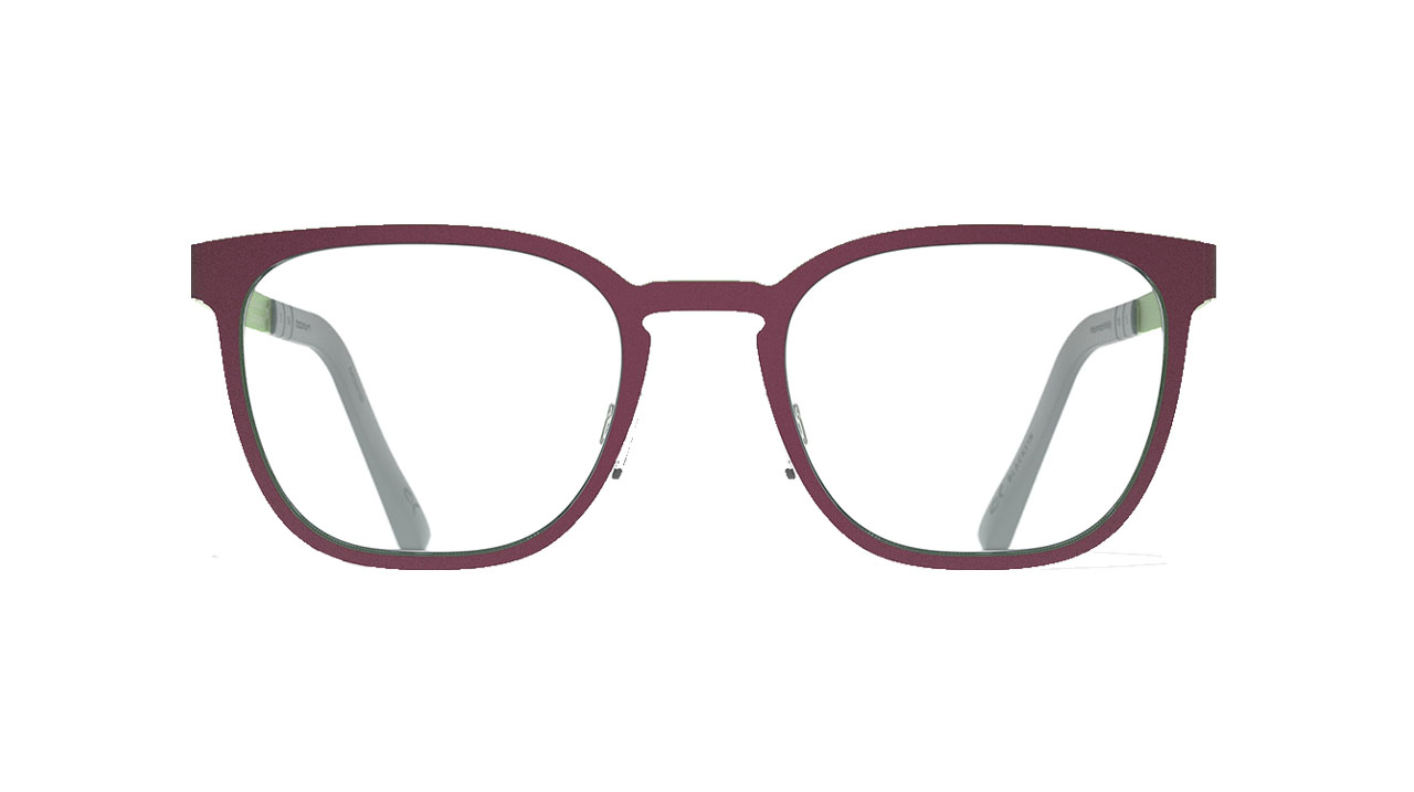 Glasses Blackfin Bf1004 brookwood, red colour - Doyle
