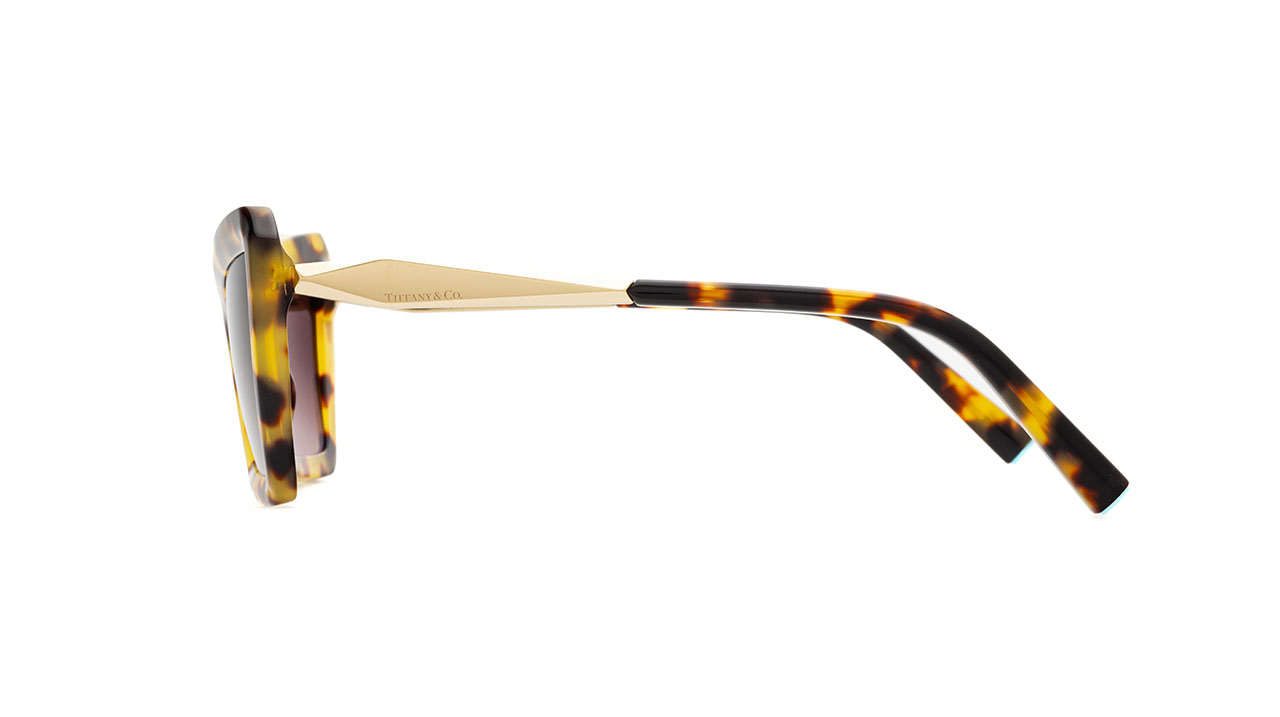 Paire de lunettes de soleil Tiffany-co Tf4203 /s couleur brun - Côté droit - Doyle