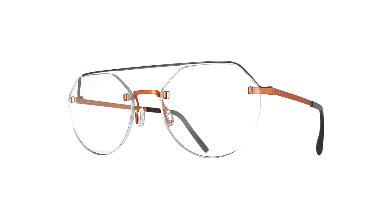 Glasses Blackfin Bf1015 vector two, gray colour - Doyle