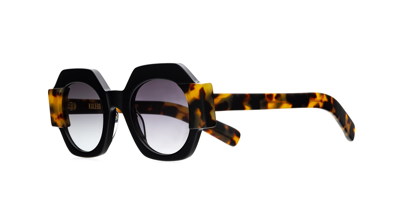 Paire de lunettes de soleil Kaleos Darnell /s couleur noir - Côté à angle - Doyle