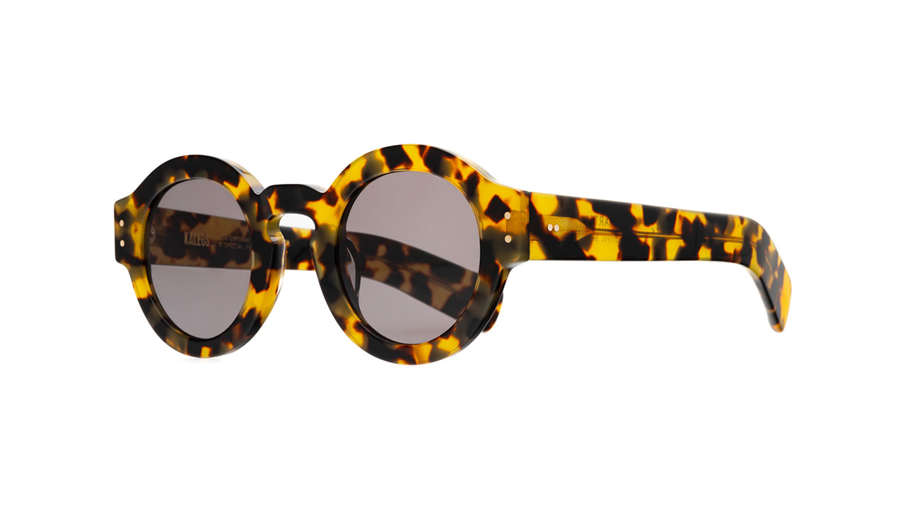 Paire de lunettes de soleil Kaleos Martin /s couleur brun - Côté à angle - Doyle