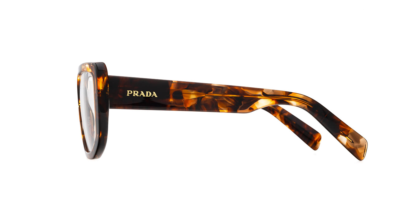 Glasses Prada Pra04, havana colour - Doyle