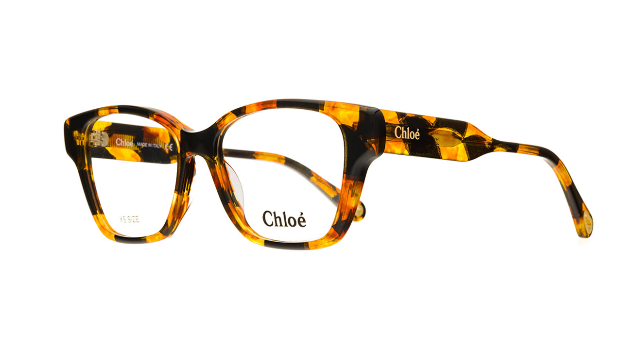 Paire de lunettes de vue Chloe Ch0200o couleur brun - Côté à angle - Doyle