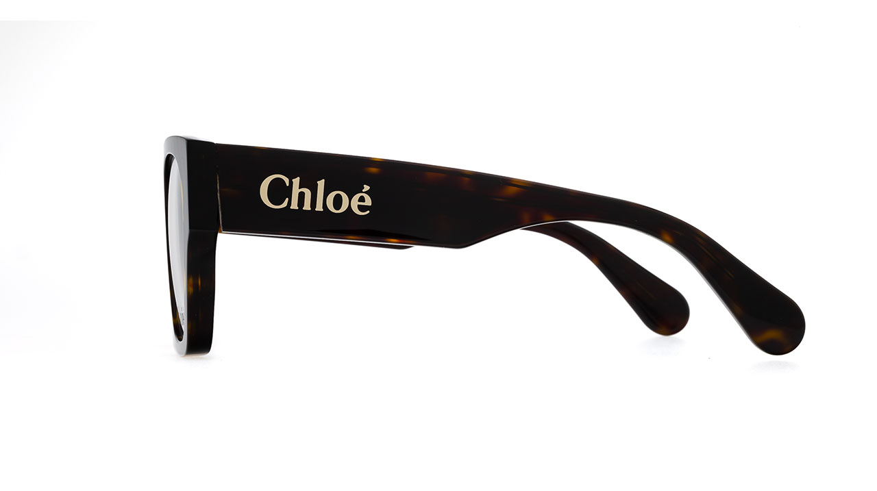 Paire de lunettes de vue Chloe Ch0250o couleur havane - Côté droit - Doyle