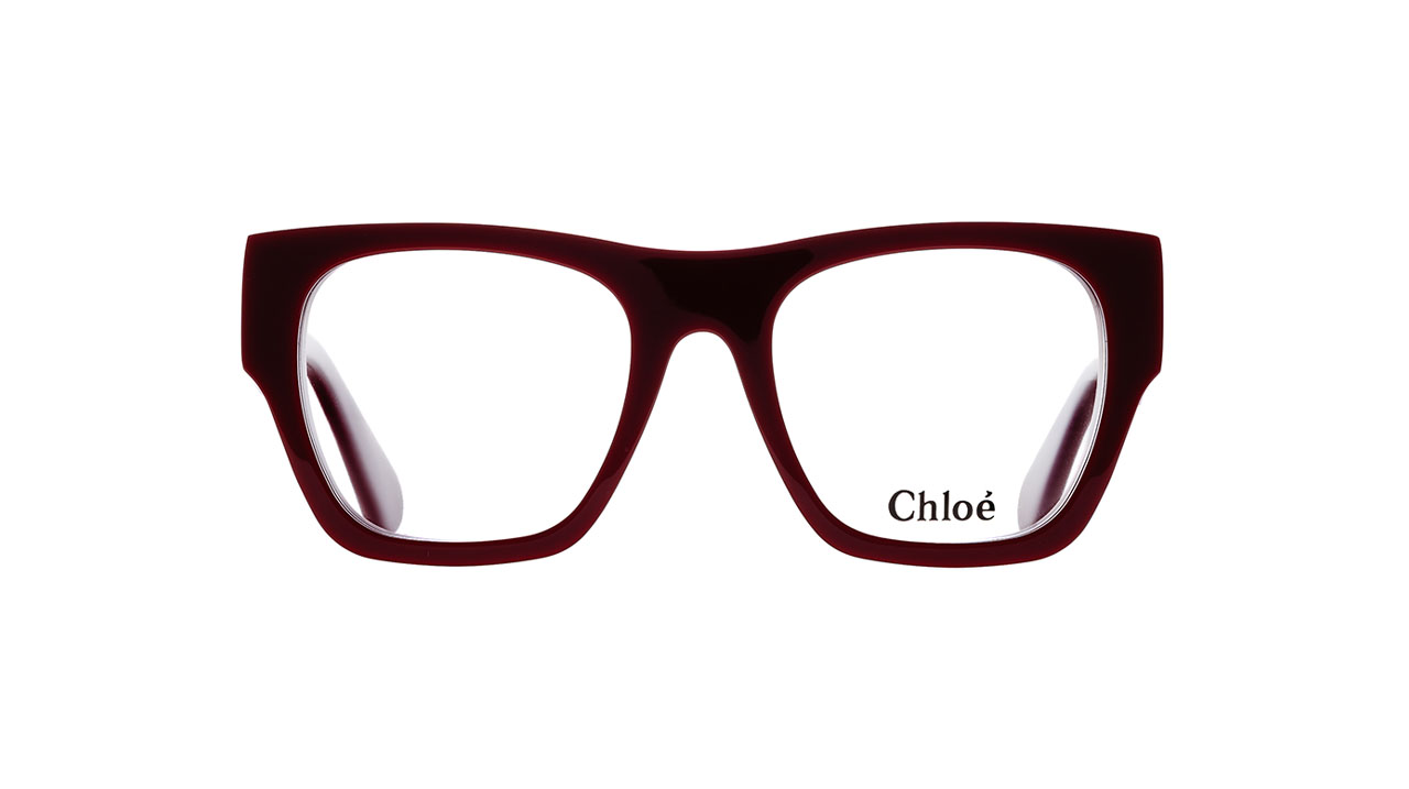 Paire de lunettes de vue Chloe Ch0250o couleur gris - Doyle