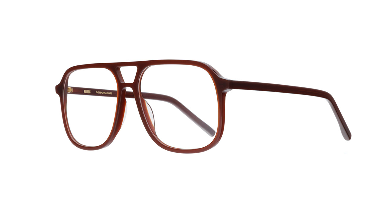 Paire de lunettes de vue Kaleos Hernandez couleur brun - Côté à angle - Doyle