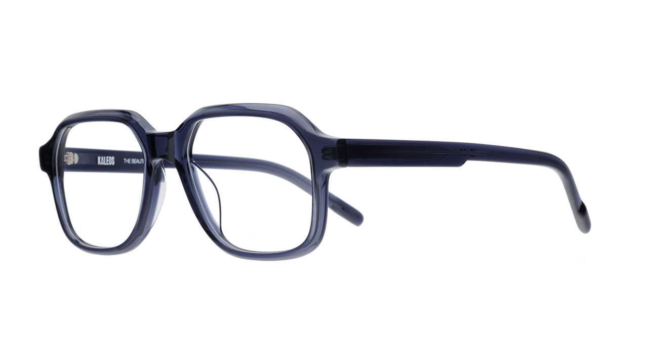 Paire de lunettes de vue Kaleos Solomon couleur brun - Côté à angle - Doyle