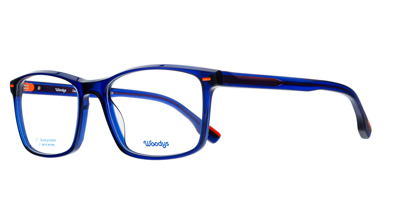 Glasses Woodys Ford, blue colour - Doyle