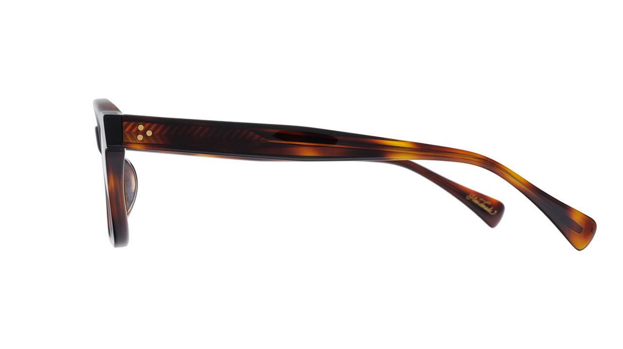 Paire de lunettes de vue Raen Locklin couleur havane - Côté droit - Doyle