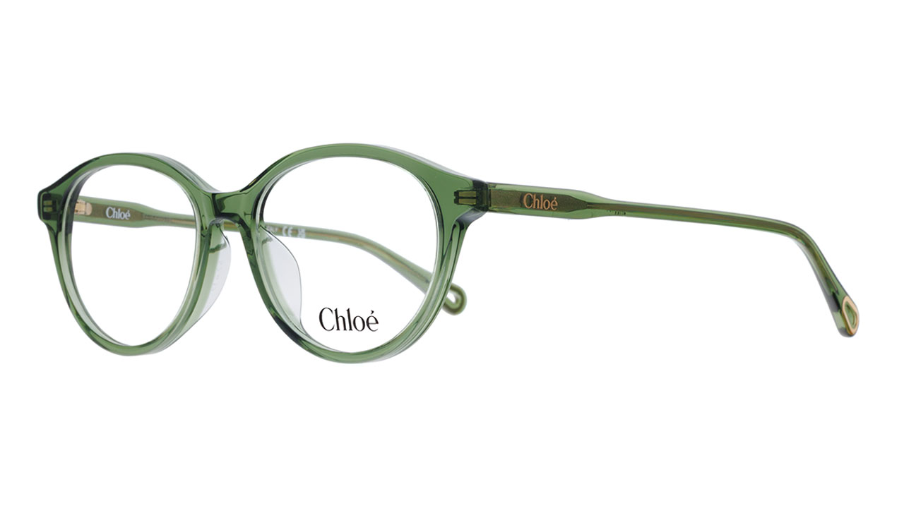 Paire de lunettes de vue Chloe Ch0316oa couleur gris - Côté à angle - Doyle