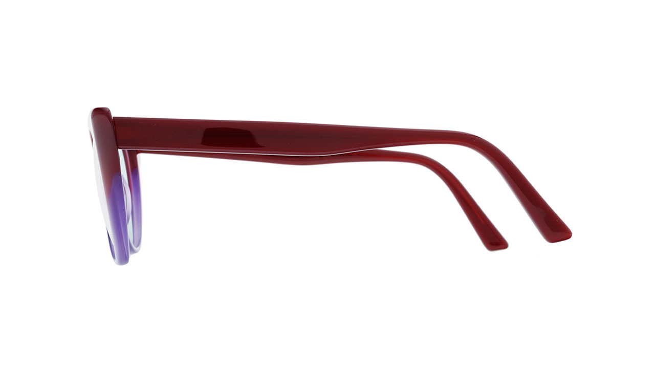 Glasses Andy-wolf 5028, blue colour - Doyle