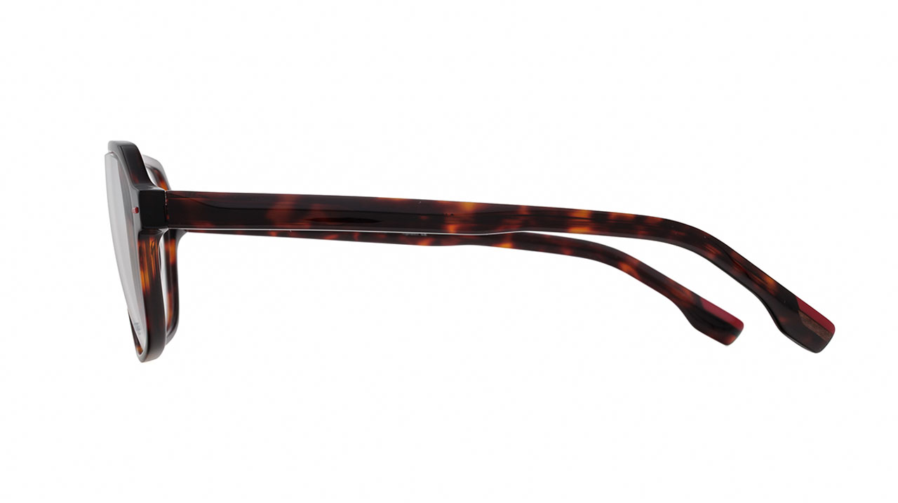 Glasses Woodys Stuart, brown colour - Doyle