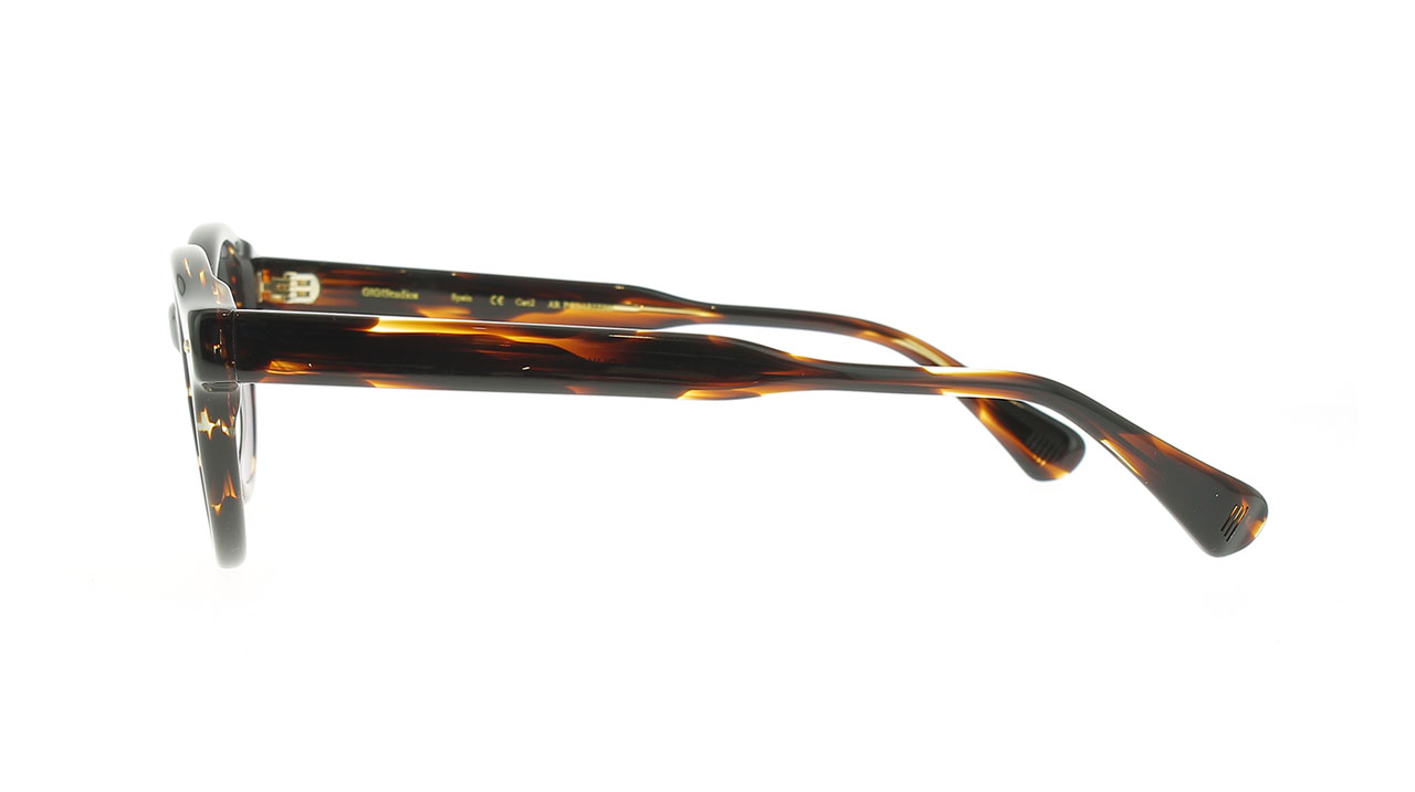 Paire de lunettes de soleil Gigi-studios Bukowski /s couleur brun - Côté droit - Doyle