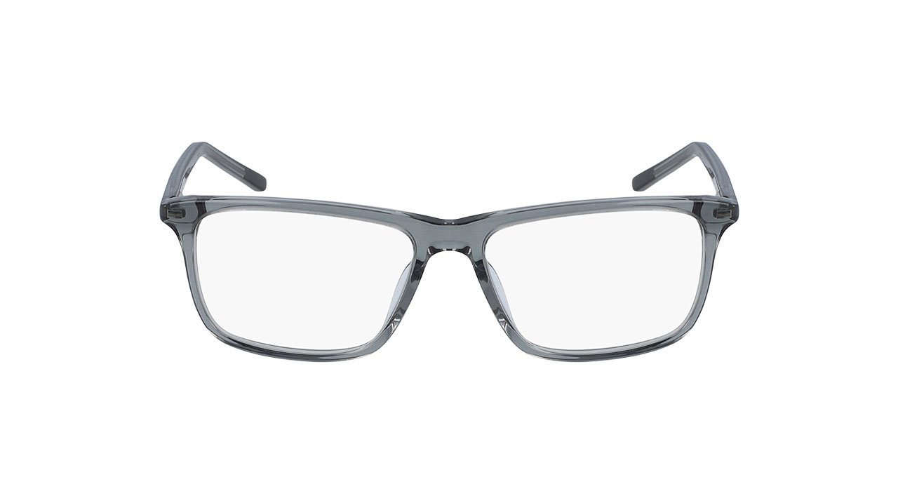 Glasses Nike 5541, gray colour - Doyle