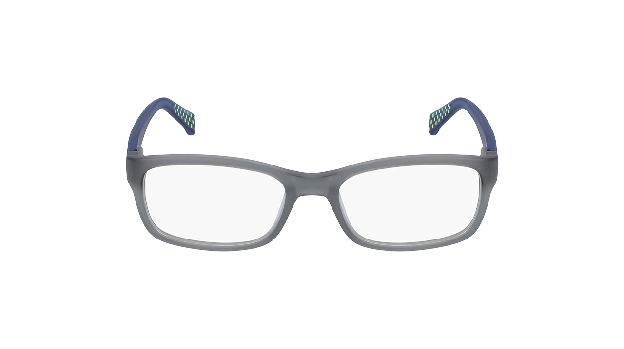 Glasses Nike 5513, gray colour - Doyle