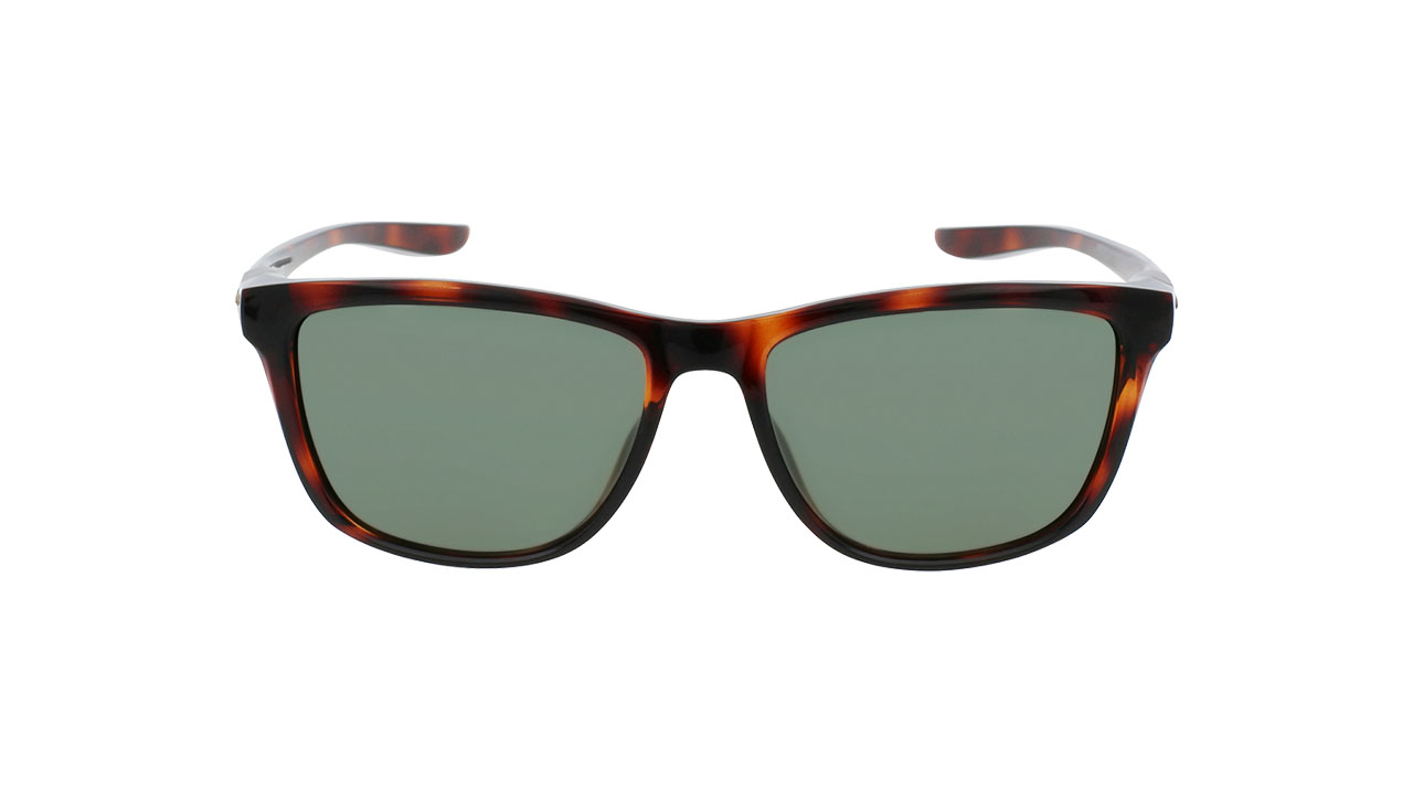 Nike City icon p dm0081 Brown Sunglasses DOYLE