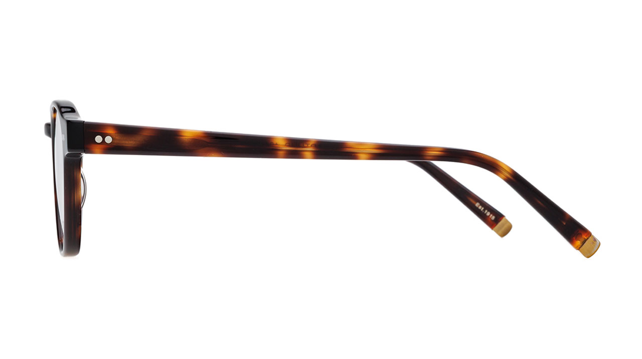 Paire de lunettes de vue Moscot Arthur couleur brun - Côté droit - Doyle