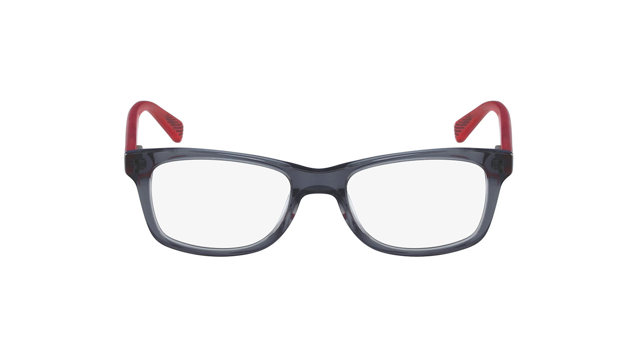 Glasses Nike 5538, gray colour - Doyle
