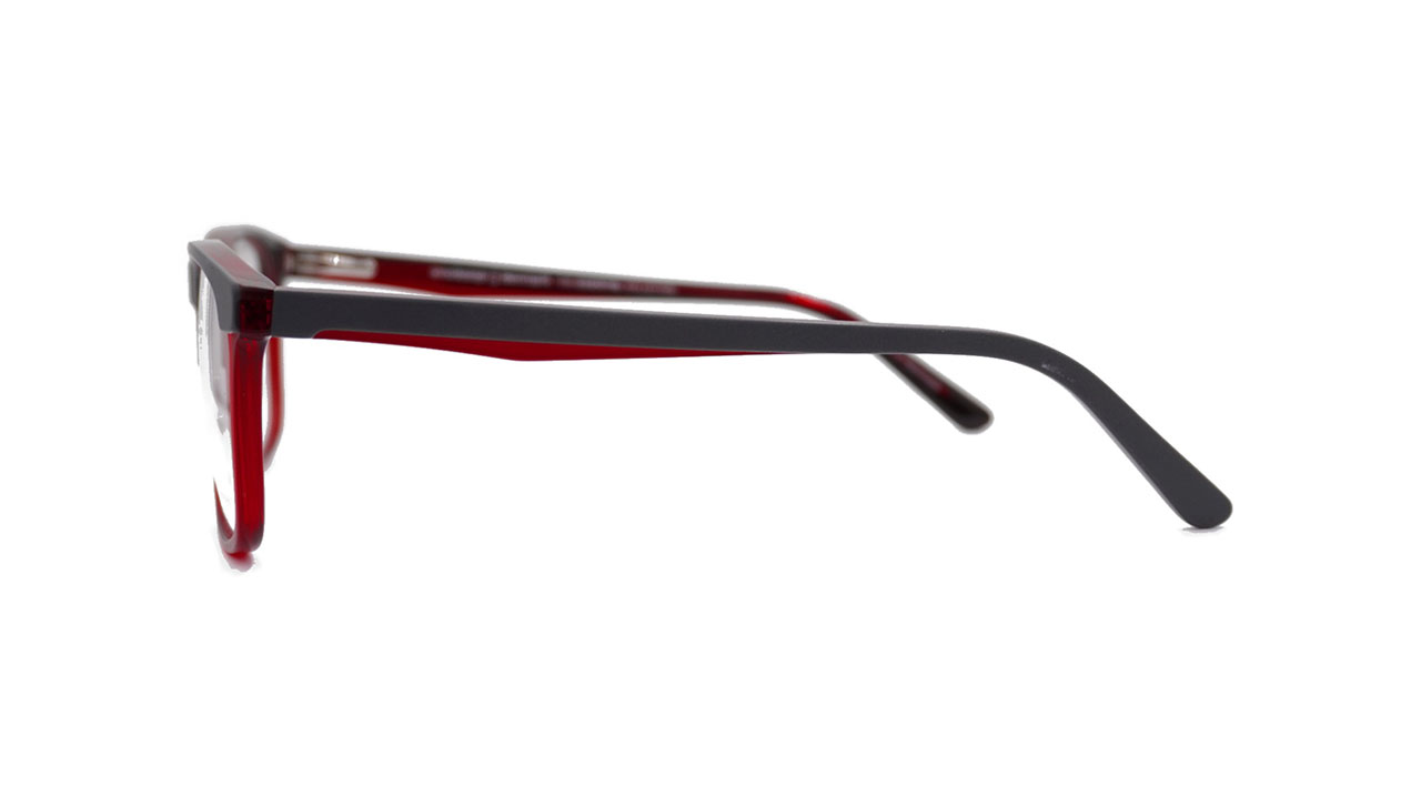 Paire de lunettes de vue Prodesign 3609 couleur gris - Côté droit - Doyle
