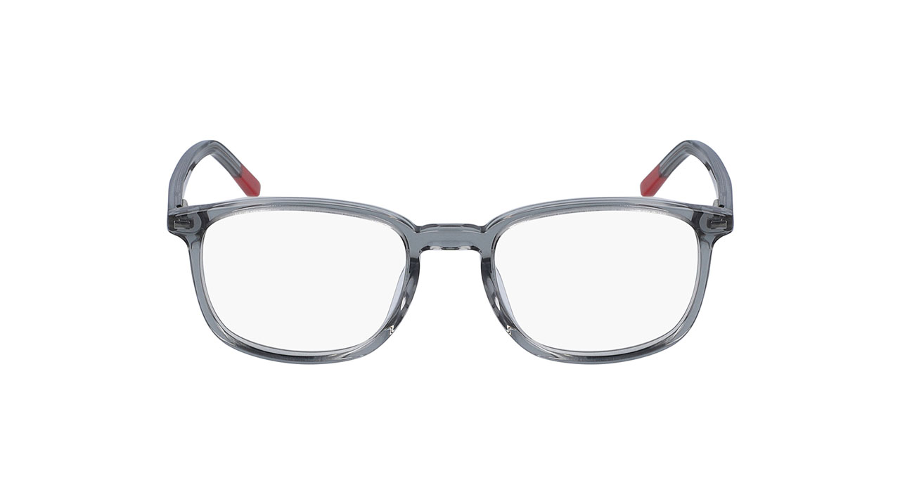Glasses Nike 5542, gray colour - Doyle