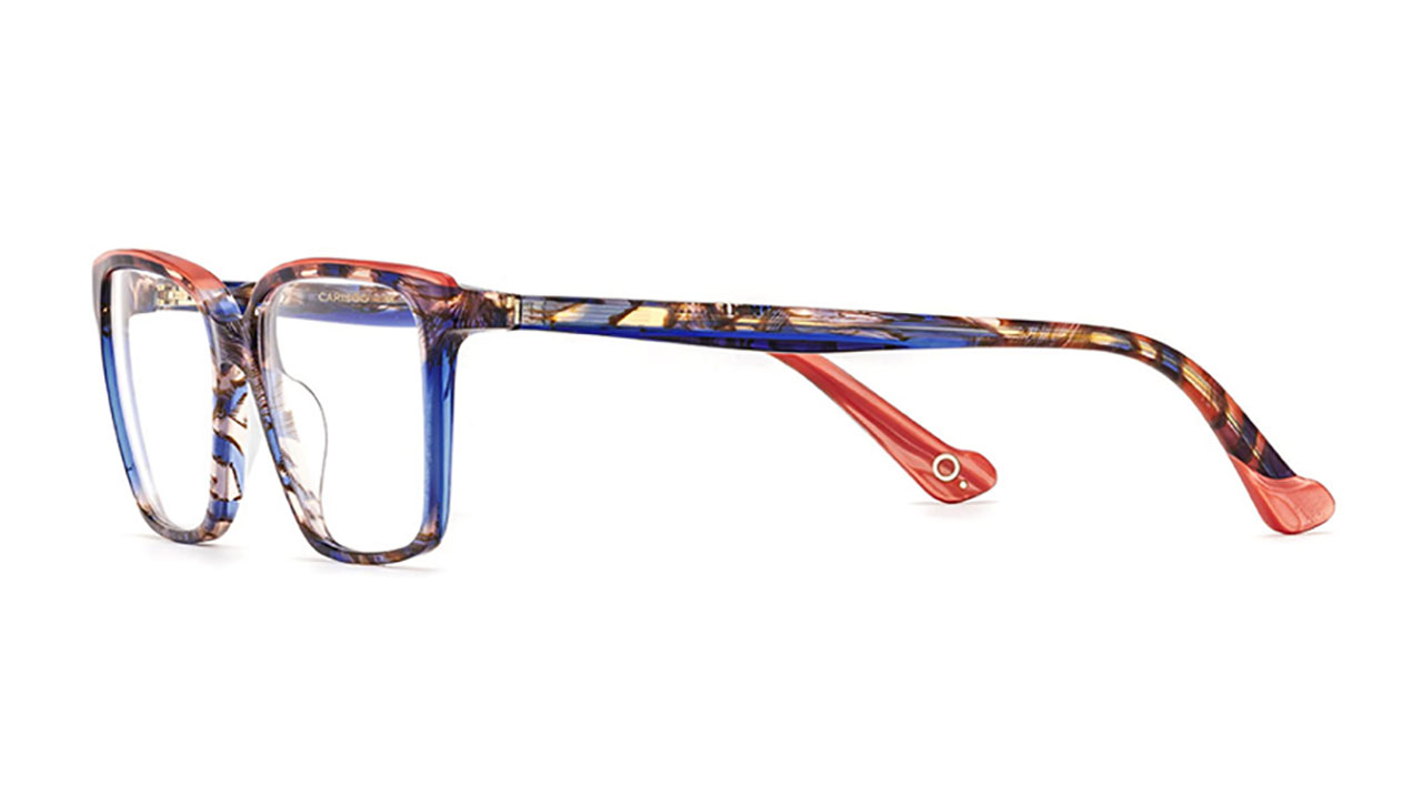Paire de lunettes de vue Etnia-barcelona Cariboo couleur bleu - Côté à angle - Doyle
