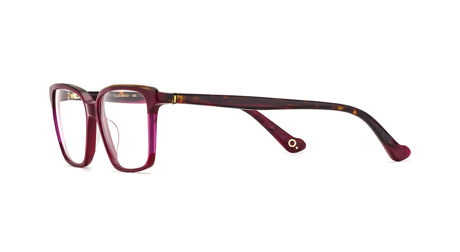 Paire de lunettes de vue Etnia-barcelona Cariboo couleur rouge - Côté à angle - Doyle