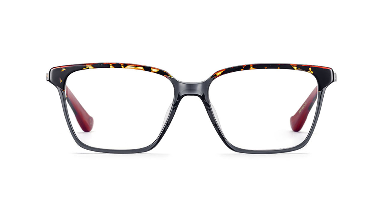 Paire de lunettes de vue Etnia-barcelona Cariboo couleur gris - Doyle