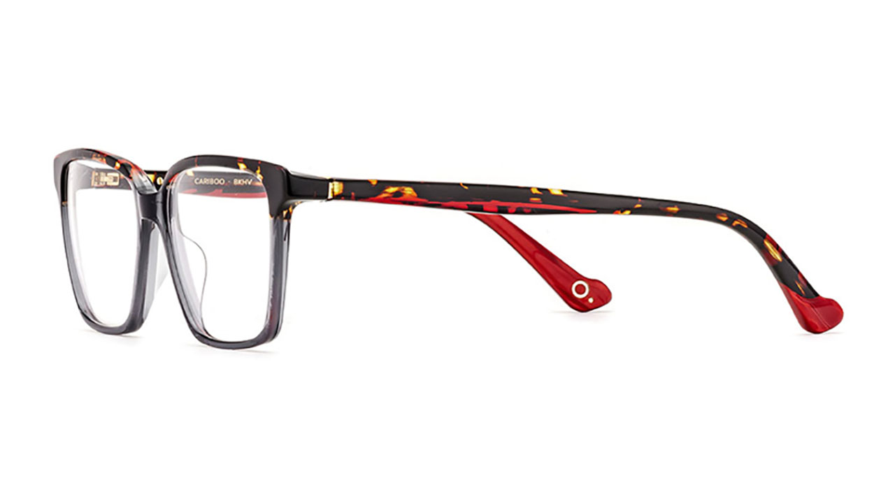 Paire de lunettes de vue Etnia-barcelona Cariboo couleur gris - Côté à angle - Doyle