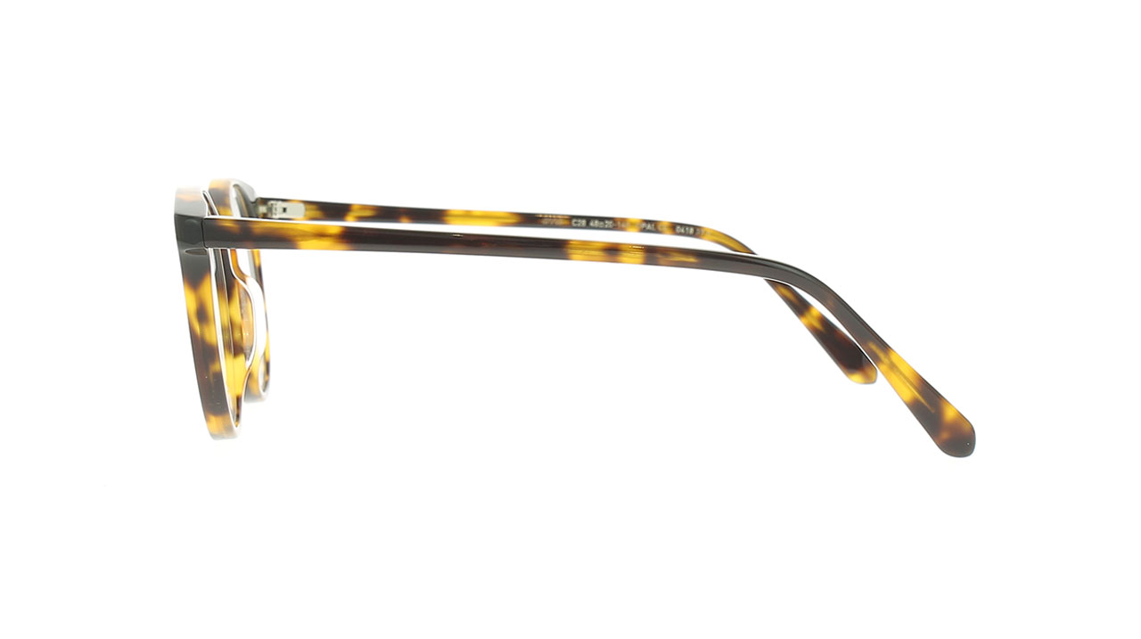 Paire de lunettes de vue Berenice Anna couleur brun - Côté droit - Doyle